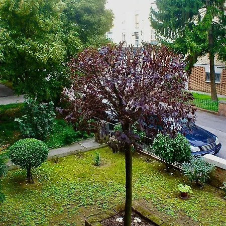 Nel Quartiere A Casa Di Silvia